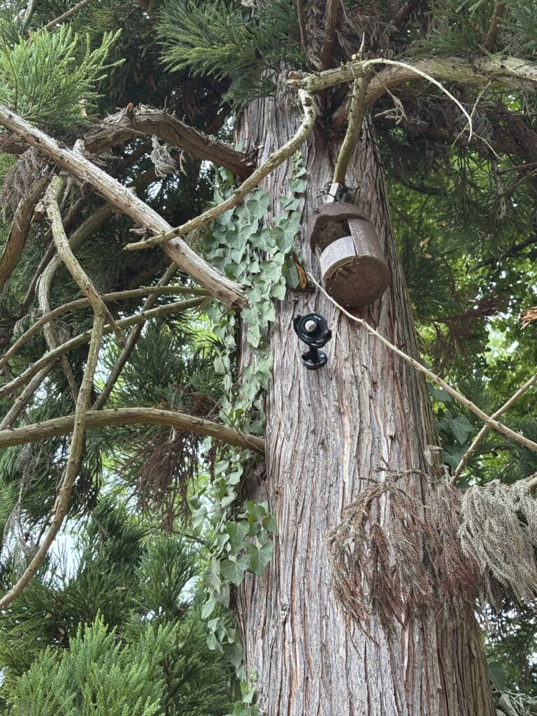 Hangweg 23 - Update - Baustelleneinrichtung
